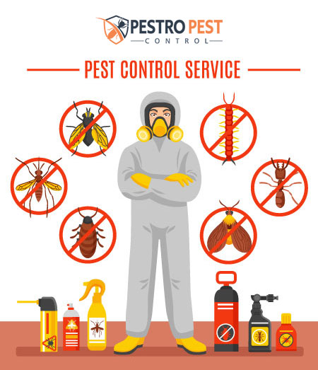 Pest control Service