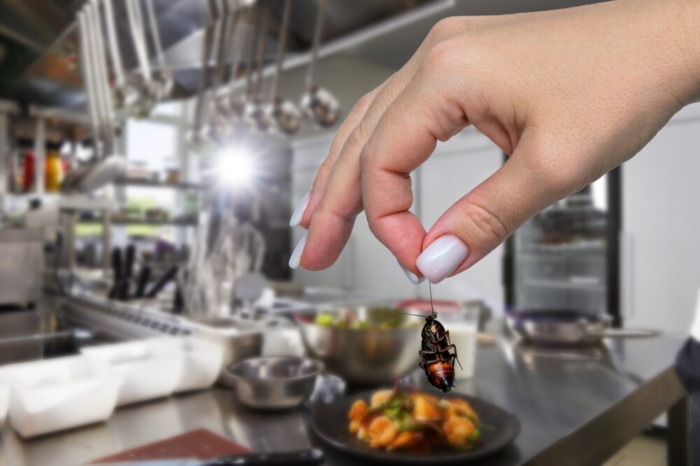 Common Pests